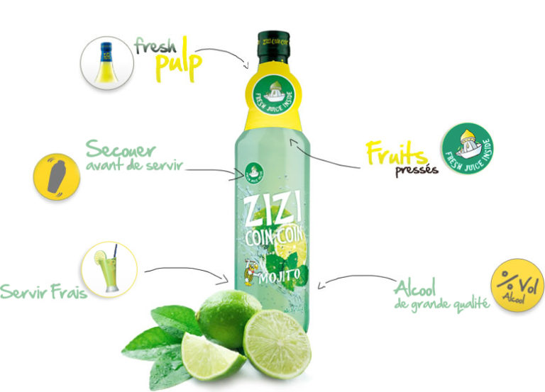 Zizi Coin Coin MOJITO